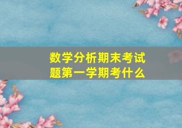 数学分析期末考试题第一学期考什么