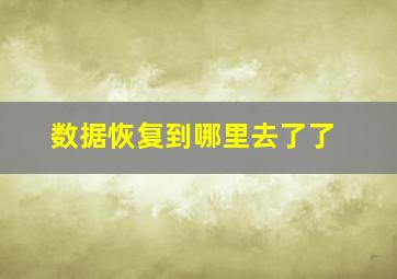 数据恢复到哪里去了了