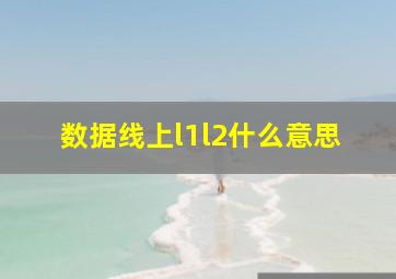 数据线上l1l2什么意思