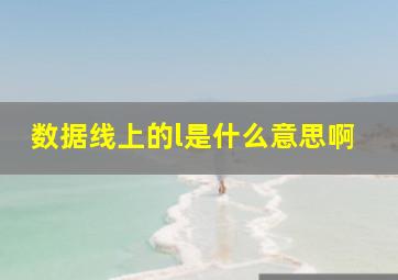 数据线上的l是什么意思啊