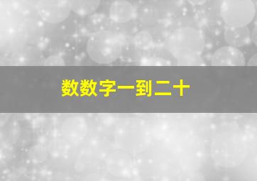 数数字一到二十