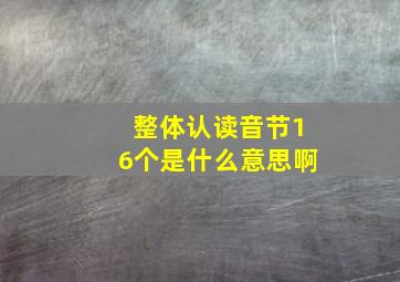 整体认读音节16个是什么意思啊