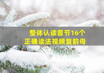 整体认读音节16个正确读法视频复韵母