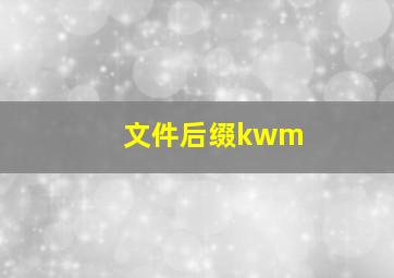 文件后缀kwm