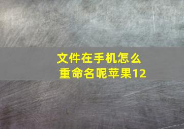 文件在手机怎么重命名呢苹果12