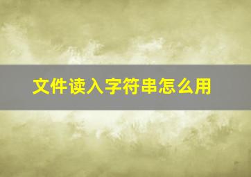 文件读入字符串怎么用