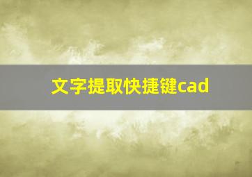 文字提取快捷键cad