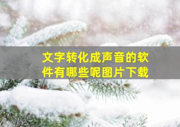 文字转化成声音的软件有哪些呢图片下载