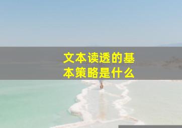 文本读透的基本策略是什么