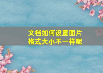 文档如何设置图片格式大小不一样呢