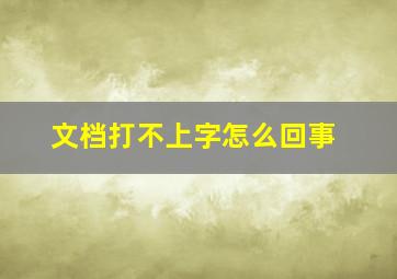 文档打不上字怎么回事