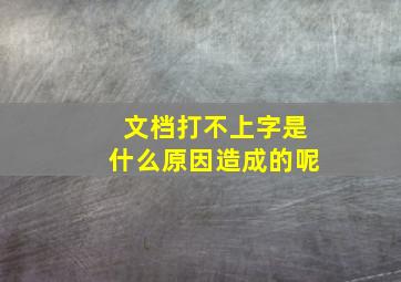 文档打不上字是什么原因造成的呢