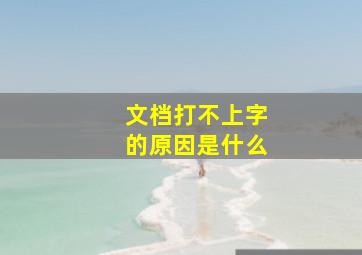 文档打不上字的原因是什么