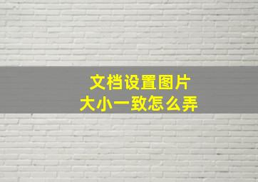 文档设置图片大小一致怎么弄