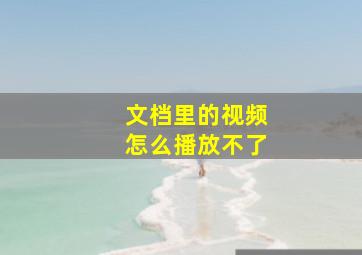 文档里的视频怎么播放不了