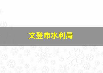 文登市水利局