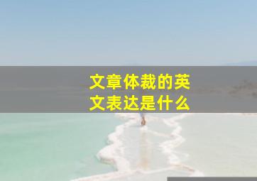 文章体裁的英文表达是什么