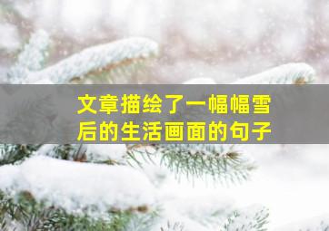 文章描绘了一幅幅雪后的生活画面的句子