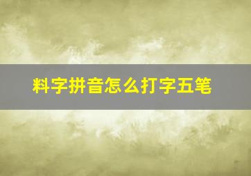 料字拼音怎么打字五笔