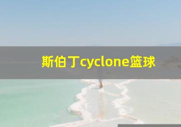 斯伯丁cyclone篮球