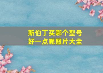 斯伯丁买哪个型号好一点呢图片大全