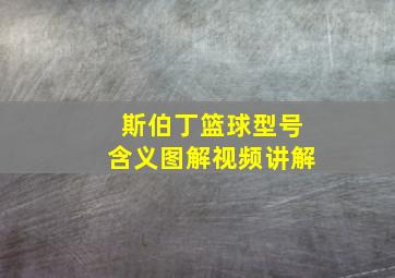 斯伯丁篮球型号含义图解视频讲解