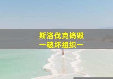 斯洛伐克捣毁一破坏组织一