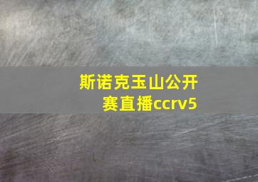 斯诺克玉山公开赛直播ccrv5