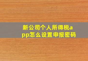 新公司个人所得税app怎么设置申报密码