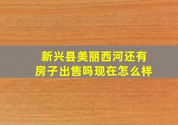 新兴县美丽西河还有房子出售吗现在怎么样