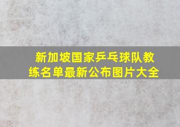 新加坡国家乒乓球队教练名单最新公布图片大全