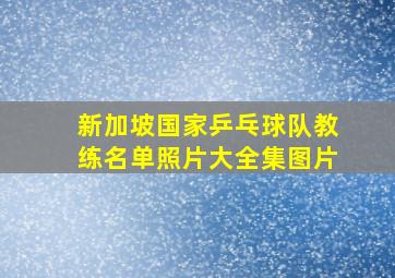 新加坡国家乒乓球队教练名单照片大全集图片