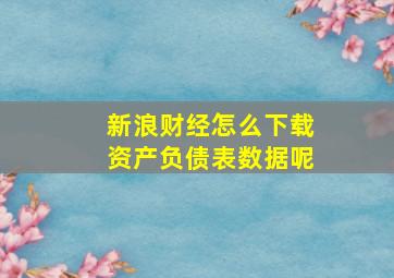 新浪财经怎么下载资产负债表数据呢