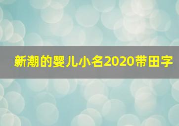 新潮的婴儿小名2020带田字