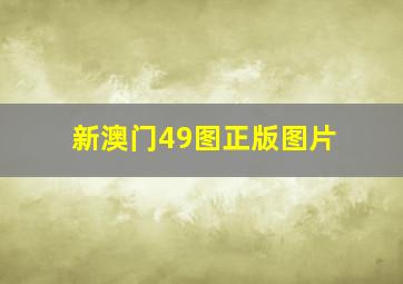 新澳门49图正版图片