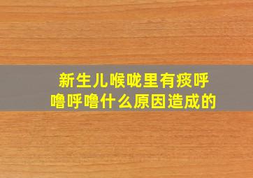 新生儿喉咙里有痰呼噜呼噜什么原因造成的