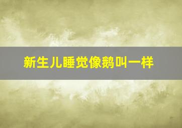 新生儿睡觉像鹅叫一样