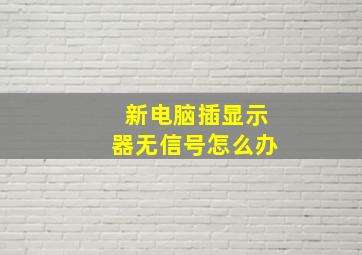 新电脑插显示器无信号怎么办