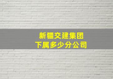 新疆交建集团下属多少分公司