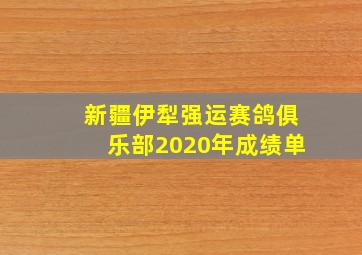 新疆伊犁强运赛鸽俱乐部2020年成绩单