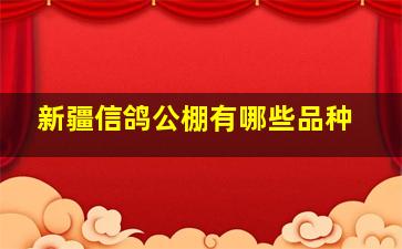 新疆信鸽公棚有哪些品种