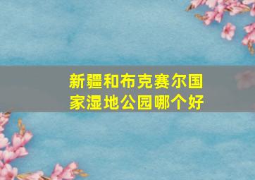 新疆和布克赛尔国家湿地公园哪个好