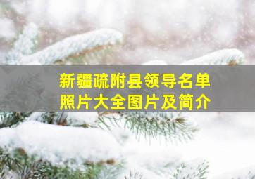 新疆疏附县领导名单照片大全图片及简介