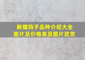 新疆鸽子品种介绍大全图片及价格表及图片欣赏