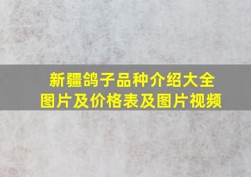 新疆鸽子品种介绍大全图片及价格表及图片视频