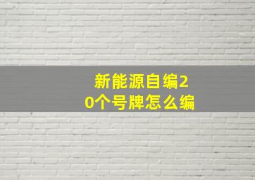 新能源自编20个号牌怎么编