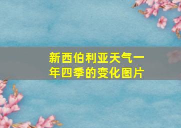 新西伯利亚天气一年四季的变化图片