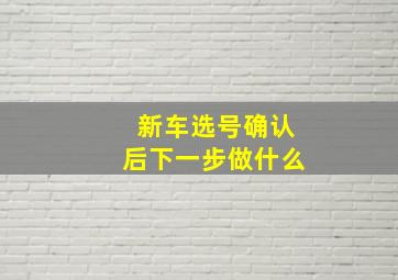 新车选号确认后下一步做什么