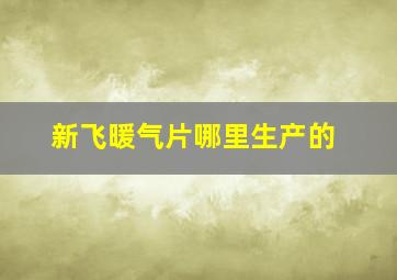 新飞暖气片哪里生产的