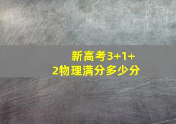 新高考3+1+2物理满分多少分